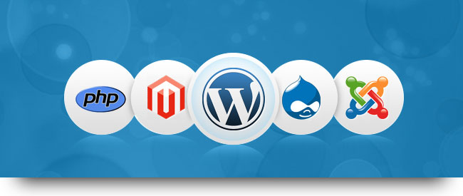 Wordpress Development India - Leo IT Hub