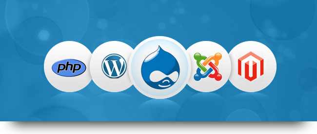 Drupal Development Company India | Leo IT Hub